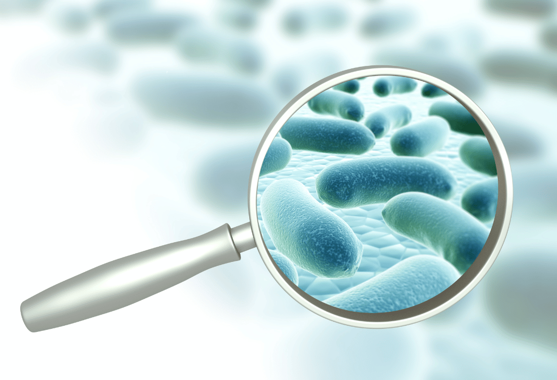 Microscope showing bacteria on a pharmaceutical water system that urgently needs biofilm removal.